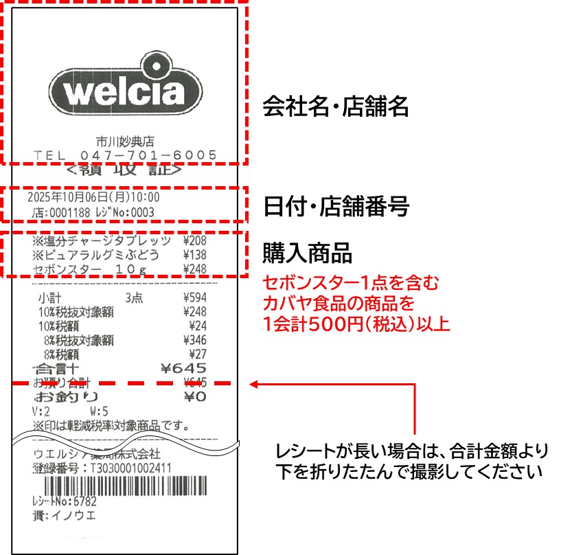 レシート見本