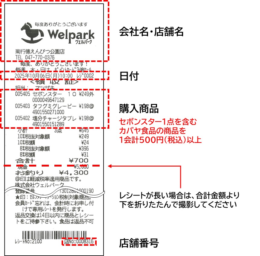 レシート見本