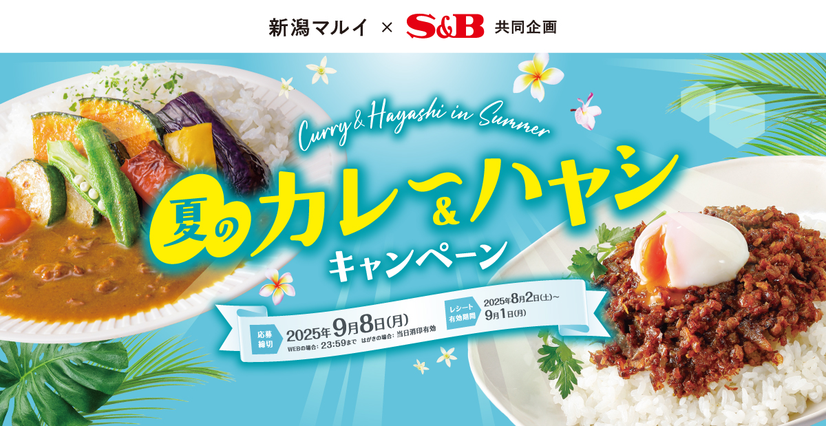 夏のカレー＆ハヤシキャンペーン｜新潟マルイ×S＆B共同企画