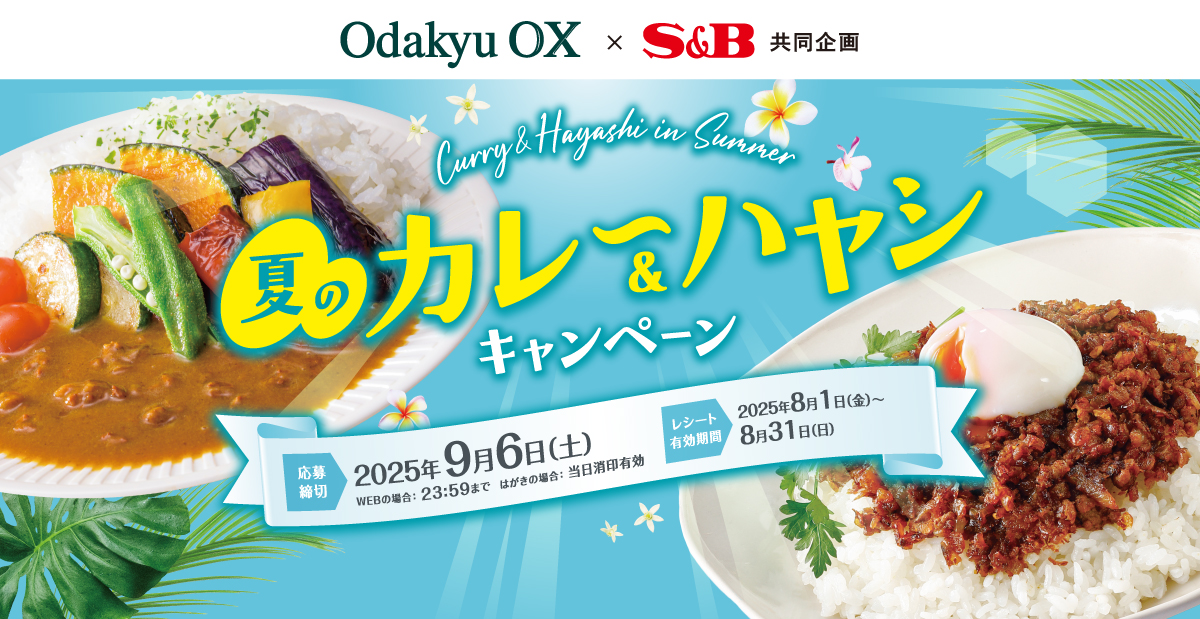 夏のカレー＆ハヤシキャンペーン｜小田急商事×S＆B共同企画