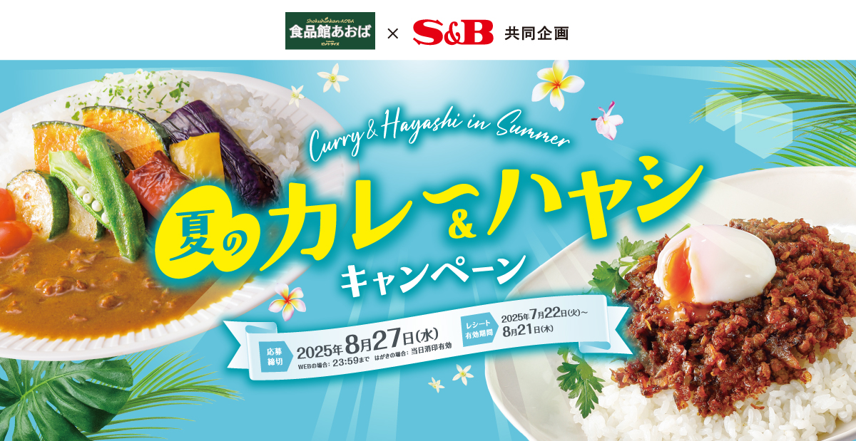 夏のカレー＆ハヤシキャンペーン｜ビック・ライズ×S＆B共同企画